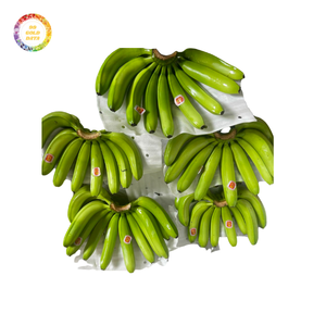 Venta al por mayor vietnamita Premium Fresh Cavendish Banana Custom Logo Green Banana | Vietnam Highland Banana - Product Image 4