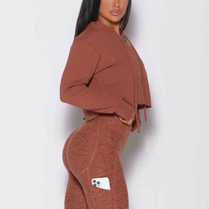 Jersey de lana de gimnasio de manga larga personalizado de alta calidad para damas, chándal de algodón al por mayor, gran oferta, cultivo con capucha para otoño - Product Image 3