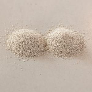 ผงเกล็ดยีสต์โภชนาการ - Product Image 6