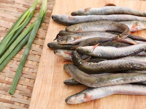 PROVEEDOR PREMIUM DE PESCADO DE GOBY CONGELADO AL POR MAYOR OFERTA CALIENTE TOP VENTAS EXPORTACIÓN DE FÁBRICA DE MARISCOS DE VIETNAM - Product Image 2