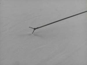 คีมจับจระเข้ด้วยมือทำจากสเตนเลสสตีลใช้ซ้ำได้เครื่องมือผ่าตัด CE 9Frx40cm นำมาใช้ใหม่ - Product Image 3