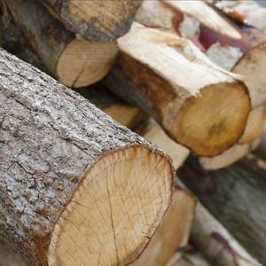Bûches de bois de chauffage séchées au four, bois dur aiguisé d'origine européenne pour foyers et poêles à bois - Product Image 4