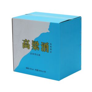 Tùy chỉnh carton nhà sản xuất sóng gửi thư chuyển phát nhanh các tông tập tin vận chuyển Hộp lưu trữ bao bì hộp carton - Product Image 5