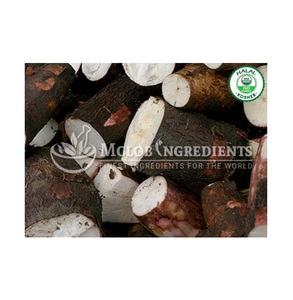 Extracto de Algarrobo Orgánico en Polvo, Suplemento Natural a Base de Plantas para la Salud Digestiva, Desintoxicación Suave, Apoyo Energético y Bienestar de la Piel - Product Image 1