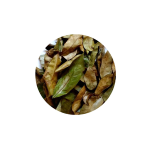 Guanábana seca de alta calidad/hojas de Graviola de Vietnam, venta al por mayor, ingrediente de té con sabor a precio barato - Product Image 6