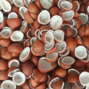 Noix de coco séchée biologique en gros / Copra - Qualité export en vrac, prix compétitif 2025 - Product Image 6