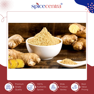Distribuidor de Spicecentra India que Vende Jengibre en Polvo Crudo Seco 100% Puro de Excelente Calidad para Uso Culinario, Excelente en el Mercado - Product Image 3