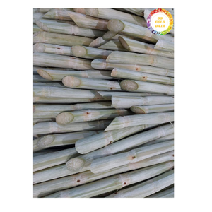 Caña de azúcar recién cortada de Vietnam Palitos dulces naturales ideales para hacer jugos de bebidas y productos alimenticios tropicales - Product Image 1