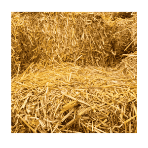 Paille de blé de qualité supérieure pour le bien-être du bétail amélioré Paille de blé pour les vaches - Product Image 2