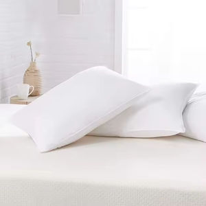 Almohadas Cervicales Modernas al por Mayor a Precio de Fábrica, Funda 100% Algodón Ignífuga para Hospitales - Product Image 6