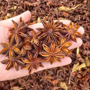 Star Anise /A spice and medicinal herb /The best natural gift from Vietnam