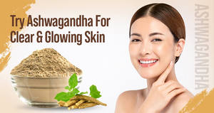 El polvo de raíz de Ashwagandha ayuda a alterar el sistema inmunológico en nuestro cuerpo Proveedores de fábrica con un embalaje adecuado del sur de la India - Product Image 2