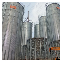 Silo di Stoccaggio per Chicchi di Caffè in Acciaio Zincato a Doppio Strato a Prezzo di Fabbrica, Durata 25-40 Anni, con Controllo PLC SIRO per l'Esportazione