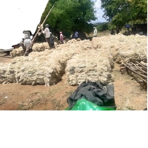 Fibras naturales de sisal en pacas de 100 KG adecuadas para una variedad de aplicaciones industriales y técnicas - Product Image 1