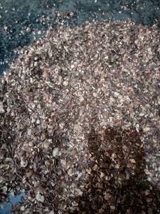 VIETNAM CAJOU HUSK 3-10MM pour TANNING Vente en gros Taille naturelle Cosse de noix de cajou crue pour l'alimentation animale Poudre de noix de cajou - Product Image 5