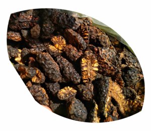 Fruta Noni seca a granel de alta calidad 100% Natural Vietnam Morinda Citrifolia, rodajas y polvo de Noni seco al por mayor a la venta - Product Image 6