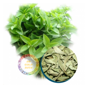 Thé fleuri de qualité supérieure en gros, 100% pur et naturel, feuilles de stévia séchées, herbe emballée sous vide, séchée à l'air, approvisionnement en vrac 99GD - Product Image 1