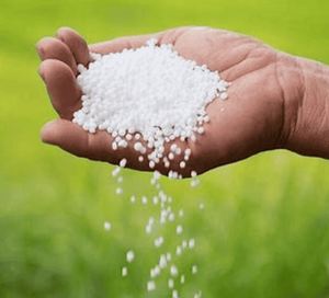 Uréa agricole granulée 46 %, engrais à base d'urée pour cultures à haut rendement, disponible à la vente en vrac à prix avantageux. - Product Image 5