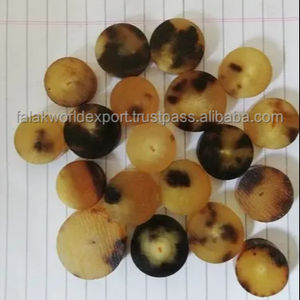 Design unique 100% bouton en corne de buffle naturel Technique brute Style animal pour manteau et décoration de la maison Falak World Export - Product Image 3