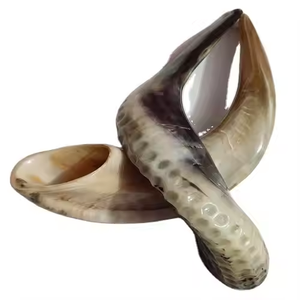 Corne de mouton polie - Design moderne imperméable Meilleure qualité Prix bas par saniya handicraft - Product Image 2