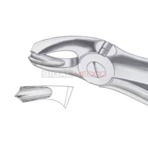 Fig. 18A Molaires supérieures Forceps d'extraction de dents de différentes tailles Instruments médicaux dentaires Prix de gros Fournisseur en vrac - Product Image 5