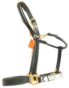 Cabestro de caballo de cuero inglés ligero acolchado con cuero marrón suave y accesorios de hardware de latón duraderos cómodos - Product Image 1