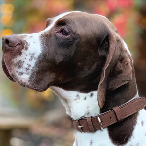 Elegante Collar de Cuero Premium para Perro con Acabado de Tachuelas, Diseño Simple y Lujoso, para Perros Pequeños y Grandes, Duradero, Transpirable y Ecológico - Product Image 4