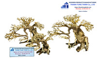 Articles phares : Arbre de mangrove décoratif en bois flotté pour bonsaï, écologique, vente en gros, caractéristiques écologiques