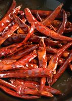 Piment séché de l'usine dirigée au Vietnam/Piment rouge séché aux épices simples de haute qualité