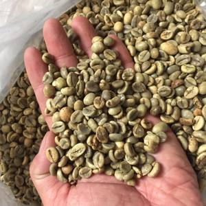 Granos de café verde Robusta de alto grado de Vietnam Tamaño de embalaje OEM-Pey - Product Image 5