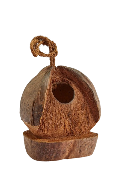 สีน้ำตาลธรรมชาติ