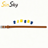 Collier pour chien réglable en PVC SinSky avec lettres, accessoires, vente en gros, ensemble laisse et collier pour chien, lettres en silicone pour collier de chien