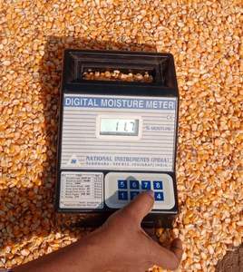 Maíz Amarillo Entero de Alta Calidad, Grano de Maíz Amarillo Blanco, Humedad 13%, Almacenamiento a Granel, Nutritivo, Larga Duración (12 Meses) - Product Image 2