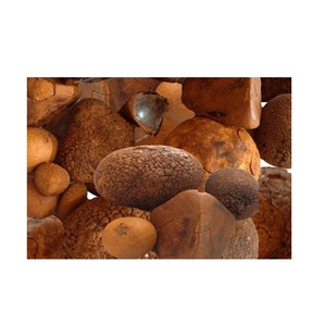 Cálculos biliares de vaca a la venta a granel a precios baratos Ideal para compradores internacionales y mercados de productos de salud tradicionales - Product Image 3