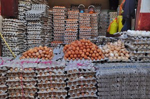 ไข่ไก่เกรดดีสดและมีคุณค่าทางโภชนาการ - Product Image 6