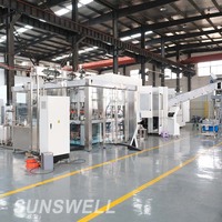 Machine remplissante de purification et d'embouteillage de l'eau pour la petite usine de l'eau