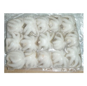 Pulpo Bebé Congelado al por Mayor, Varios Empaques - Product Image 4