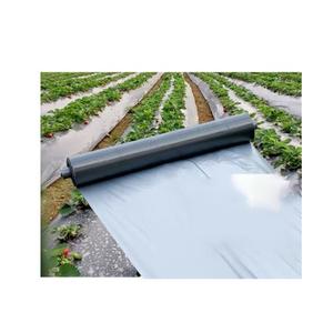 Film de paillis agricole de qualité exportée Couvercle en plastique noir pour la protection contre les mauvaises herbes Film de paillage agricole 6 - Product Image 1