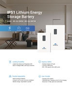 Pack de batteries solaires au lithium Xenterra 48V 100Ah 200Ah Lifepo4, montage mural