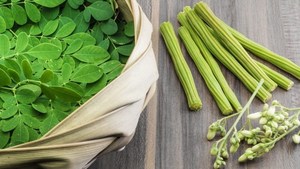 Poudre de MORINGA Poudre de MORINGA VÉGANESSE en VENTE EN GROS DE LA FABRIQUE DU VIETNAM AVEC LA MEILLEURE QUALITÉ - Product Image 6