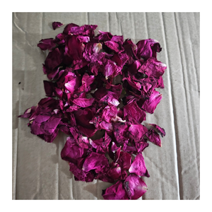 ชากุหลาบแดงสมุนไพรธรรมชาติจากเวียดนาม rosae rugosae แบบพรีเมี่ยม - Product Image 1