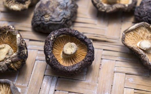 Fournisseur de Champignons Shiitake séchés de haute qualité Bon marché En vrac Fabriqué au Vietnam - Product Image 5