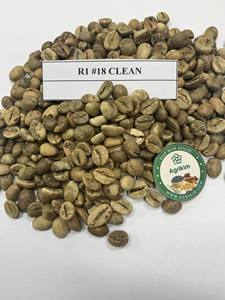 Bolsa de yute para granos de café, 18 granos de café limpio de Vietnam, el mejor precio, 60kg - Product Image 6