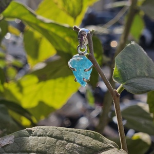 경량 인박석 거친 실버 클로 설정 펜던트 참 펜던트 유형 - Product Image 4