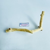 Meilleur vendeur, perchoir à oiseaux en bois de café naturel pour perroquets, en provenance du Vietnam, pour les grossistes