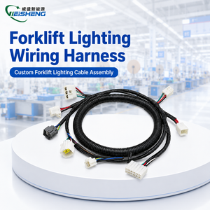 Weisheng IATF16949 untuk Kabel Harness Forklift Full Body Custom 22AWG PVC 8-core 490 Sambungan Instrumen Hidrolik Lampu - Product Image 1