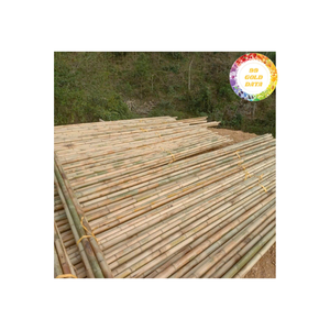 Poteaux de bambou du Vietnam Matériau naturel solide authentique pour les projets d'artisanat Utilisation en extérieur et approvisionnement d'exportation en gros international - Product Image 6