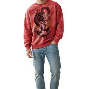 Sweat-shirt d'hiver de qualité supérieure avec tissu intérieur chaud, coupe classique, style hip-hop, imperméable pour tenues décontractées, port quotidien - Product Image 1