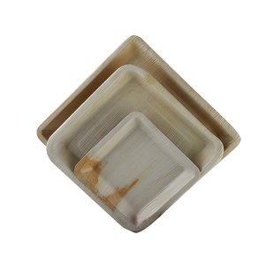 Plato cuadrado desechable de hoja de palma biodegradable ecológico para servir comida en bodas, fiestas o picnics - Product Image 1