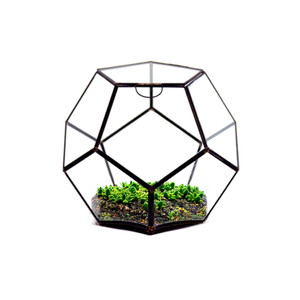 GET1209BK - Terrario Geométrico de Vidrio en Forma de Dodecaedro Prisma Negro Mediano - 7.5H - Product Image 5